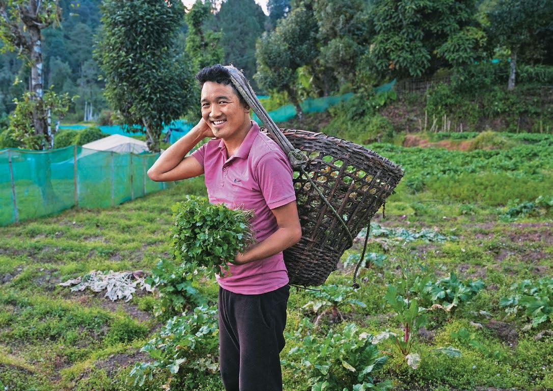 Soreng: Where Growth Is Green
